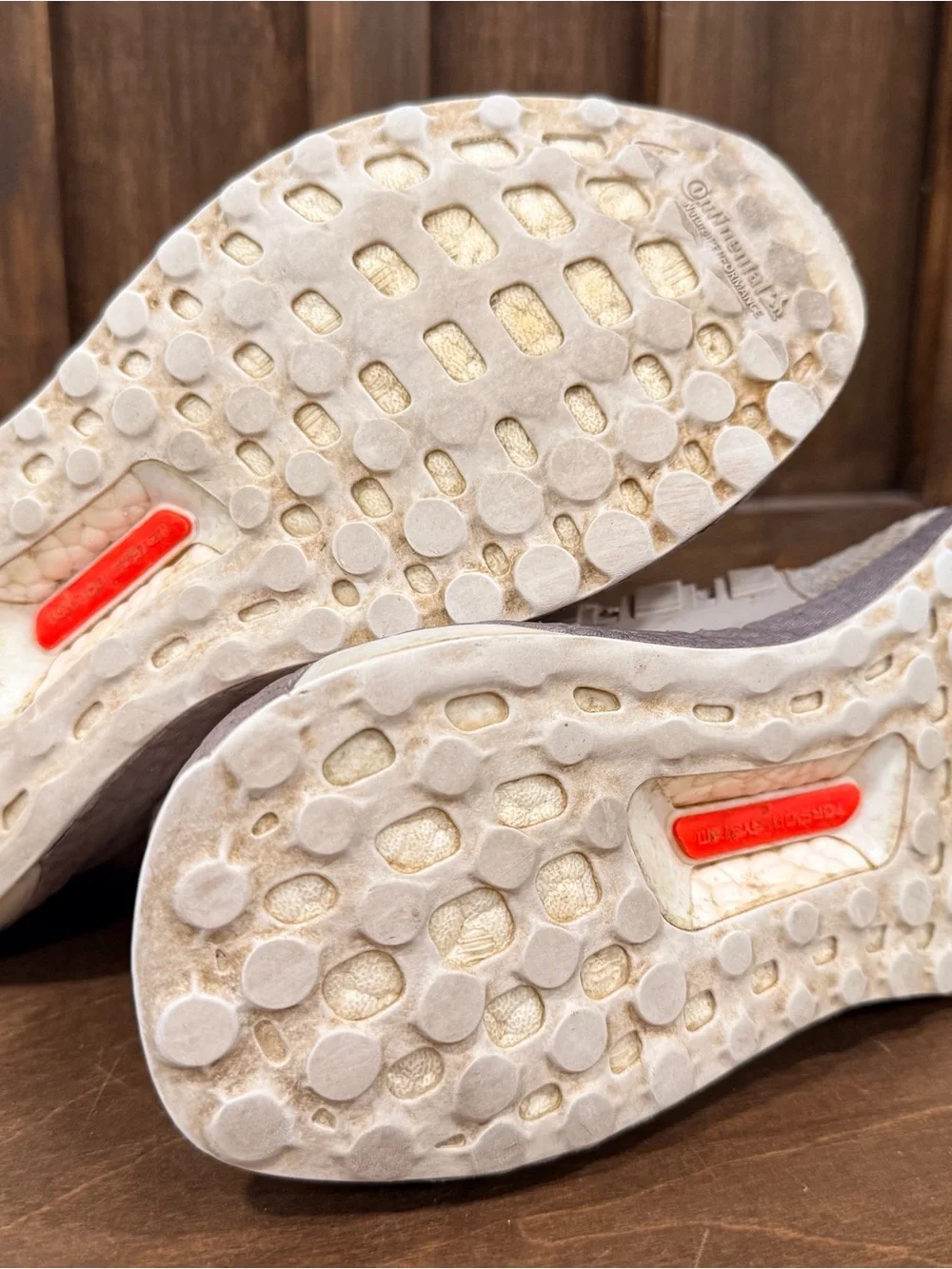 adidas Women’s Eco Boost Running Shoes (7)